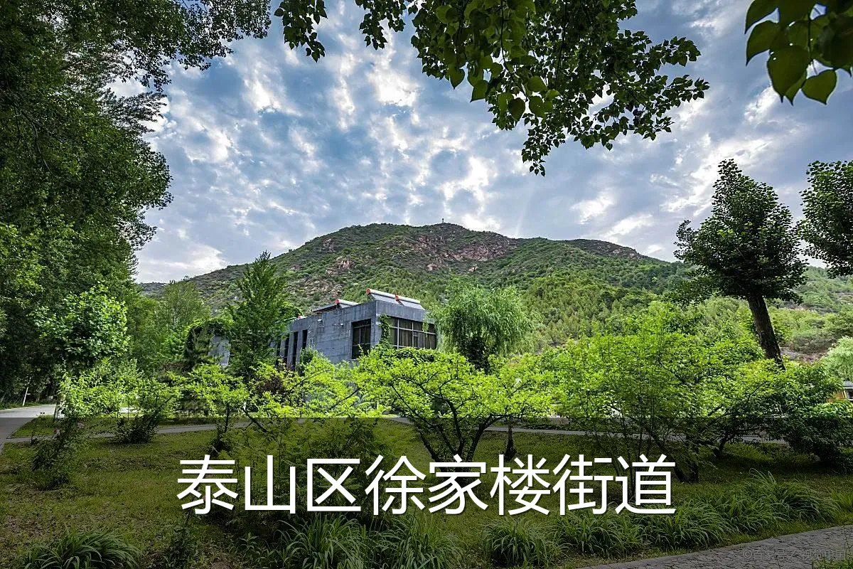 泰山区徐家楼街道