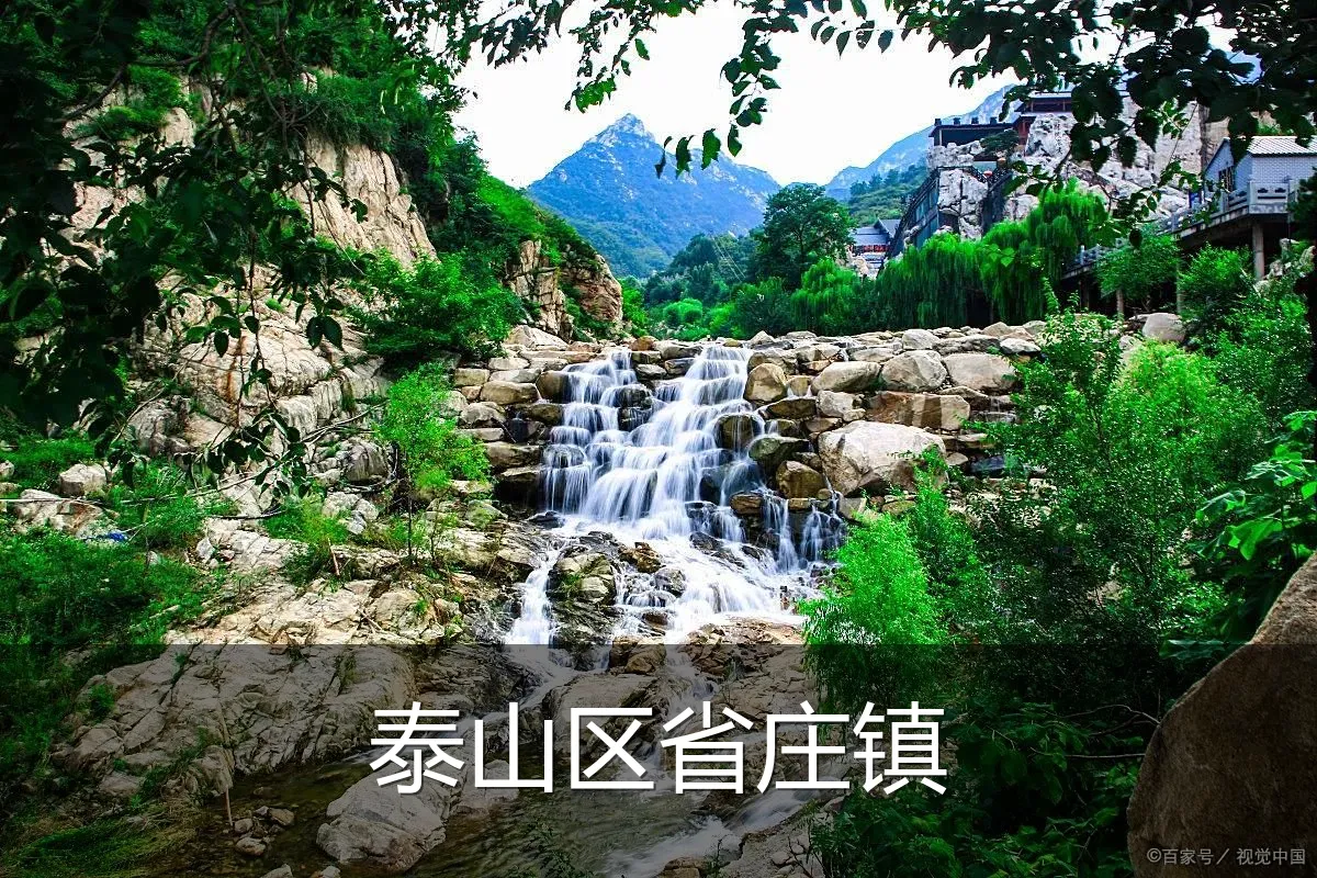 泰山区省庄镇