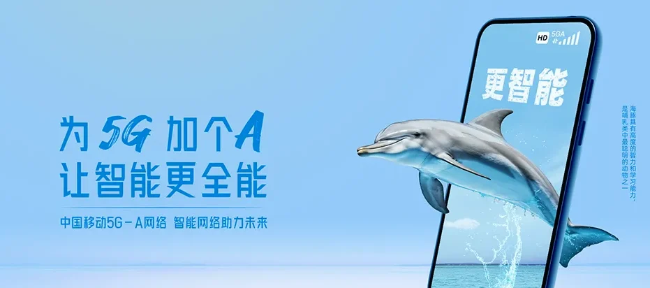 泰山区泰山区徐家楼街道 移动宽带